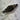 Sachs 50/3 pedal gear shaft