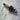 Sachs 50/3 pedal gear shaft