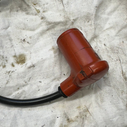 Sachs ignition system