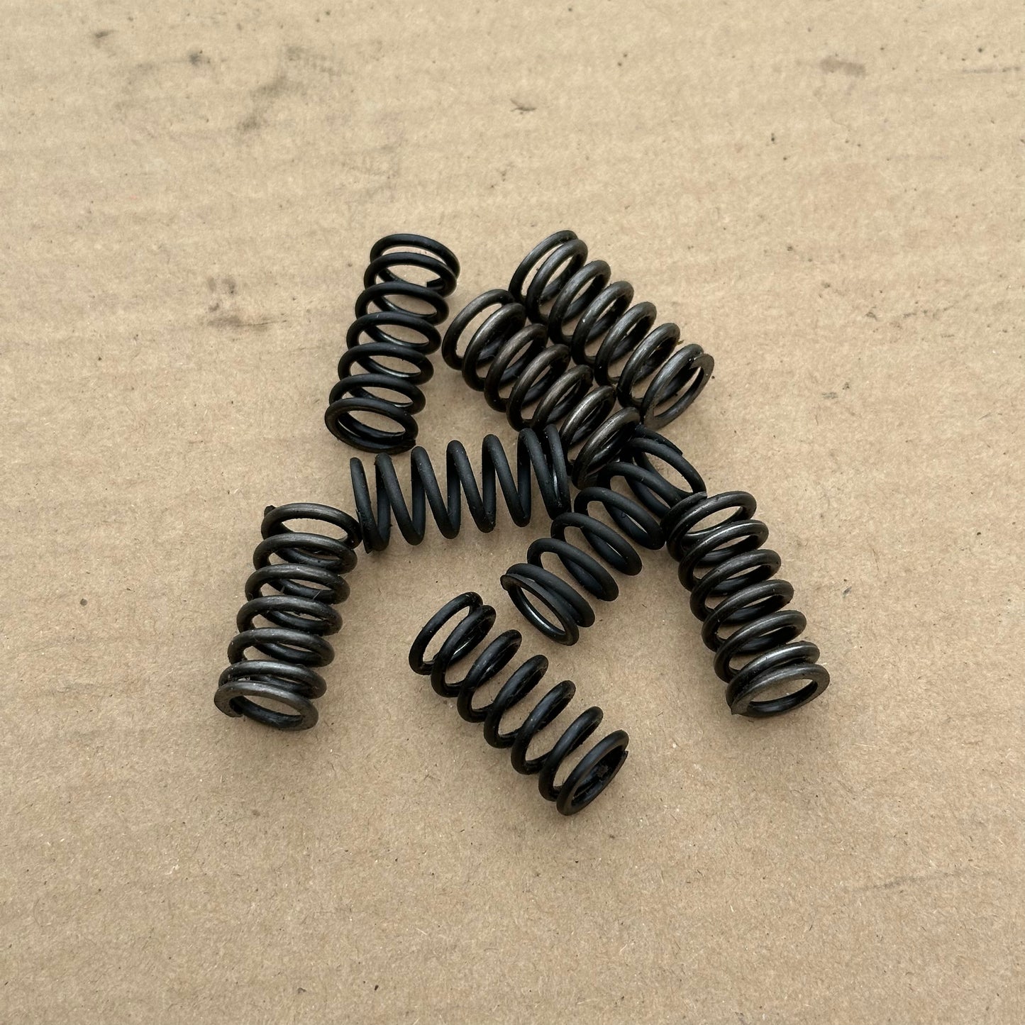 Clutch springs EBS (each)