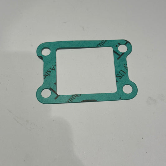 Diaphragm gasket AM6